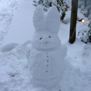 Meet your Posher, April